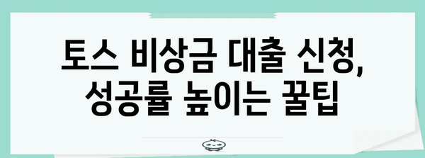 토스 비상금 대출 거절 대처법 | 자격조건과 신청 요령