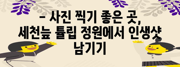 세천늪 튤립 속 낭만 데이트 가이드 | 대구 최고의 봄 데이트 명소