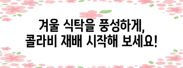 가을에 심어 겨울에 수확하는 콜라비 재배법 가이드