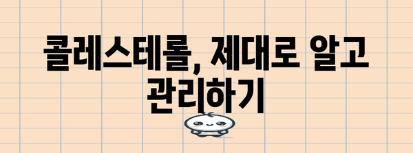 콜레스테롤 컨트롤 완벽 가이드 | 필수 원칙과 팁