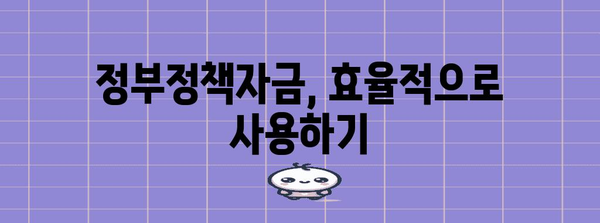 정부정책자금 신청 함정 피하기 | 꼼꼼한 가이드