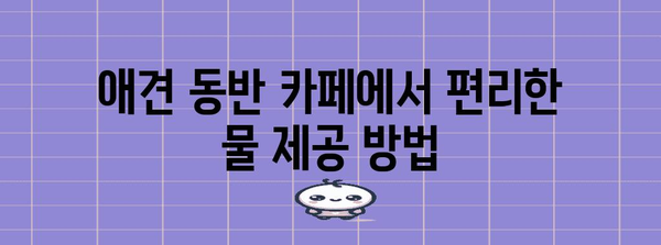 애견 동반 카페 물 공급의 혜택 가이드 | 안전하고 편리한 경험