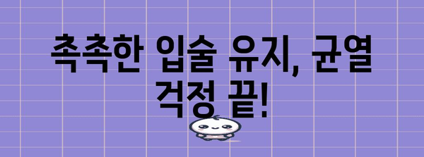 입술 터짐 원인과 치료법 | 예방을 위한 균열 예방