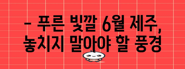 6월 제주 여행 완벽 안내서 | 놓칠 수 없는 볼거리, 액티비티