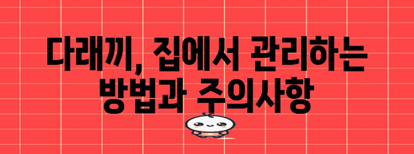 눈 주변 혹 해결법 | 다래끼 진단과 치료 가이드