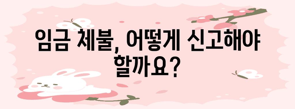 임금 부정직 발견 시 대처법 | 체불 신고부터 재고용까지