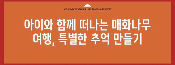 피는 주말농장 가이드 | 주말에 즐기는 매화나무 명소