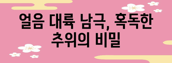 남극이 북극보다 더 추운 이유| 냉혹한 대륙의 비밀 | 남극, 북극, 기온, 차이, 원인