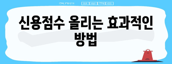 토스 신용점수, 올리고 확인하기 완벽 가이드