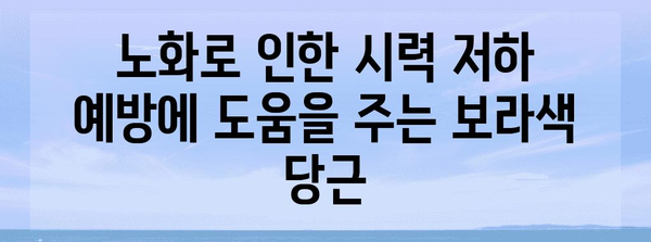 보라색 당근의 숨겨진 건강 효과 | 눈 건강 개선과 그 이유