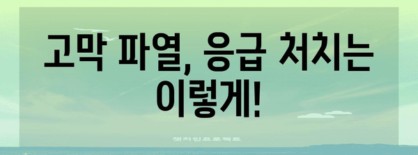 고막 파열 응급 처치 | 증상, 대처법, 병원 치료