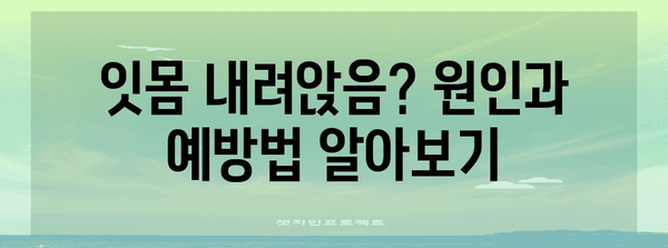 잇몸 내려앉음 관리법 | 부기 감소 팁