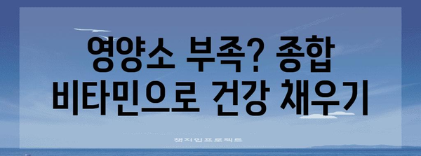 종합 비타민 | 필수 영양소 섭취를 위한 전문가 추천