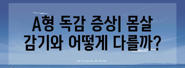 A형 독감 이해하기 | 증상, 경과, 예방 정보