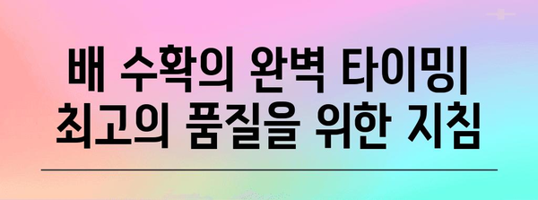 배 과실 수확 시기 & 방법| 최고의 품질을 위한 완벽 가이드 | 배 재배, 수확 시기, 수확 방법, 저장 관리