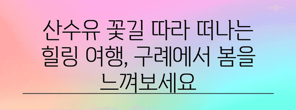 구례 산수유축제 | 꽃구경을 즐기는 봄 여행지 추천