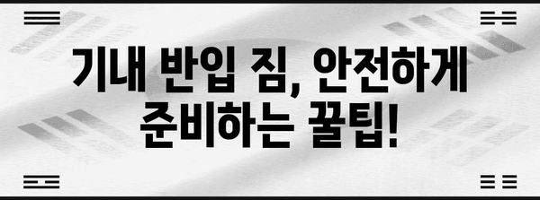 비행기 기내 안전 가이드 | 허용/금지 반입 물품 국내/해외 차이