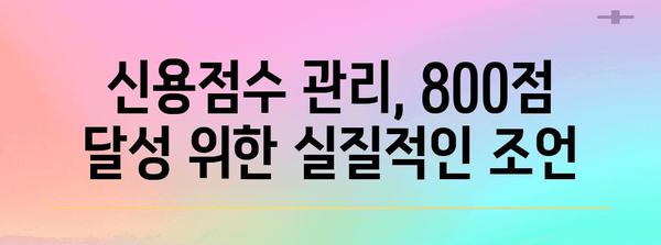 신용점수 극대화 | 800점 이상 달성 가능한 전략