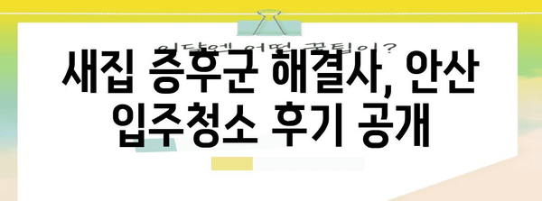 새집 증후군 해결책 | 안산 입주청소 후기 공개