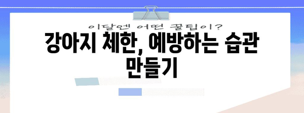 강아지 체한 대처법 | 증상, 치료, 예방 초점