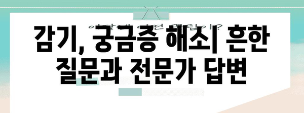 감기 치료를 위한 과학적 해결책 | 증상 완화에 도움