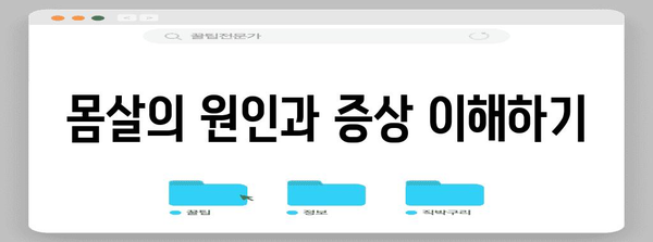 몸살 즉석 완화법 | 한방과 서양의 조화