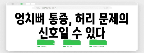 엉치뼈와 허리 통증의 상관관계 파악 | 위치파악과 통증 정확히 찾기