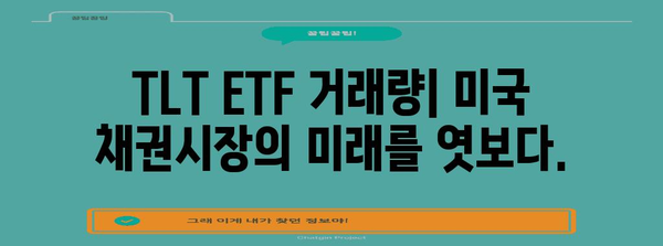 TLT ETF 거래량 분석 | 미국 채권시장 미래 전망