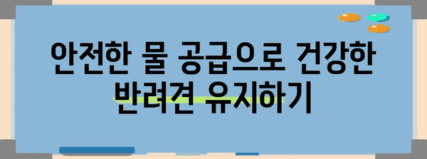 애견 동반 카페 물 공급의 혜택 가이드 | 안전하고 편리한 경험