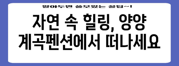 설악산 인근 편안하고 아늑한 양양계곡펜션 추천