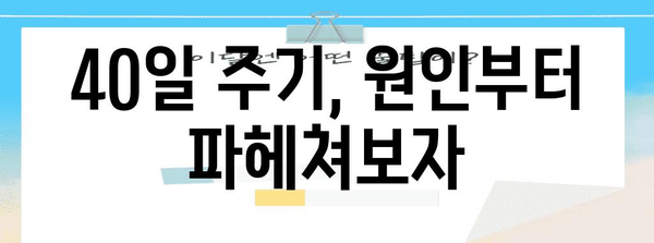 생리 불규칙 해결책 | 40일 주기 탐구