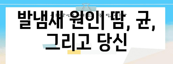 발냄새 없애기 7가지 습관 | 원인 파악과 효과적 해결