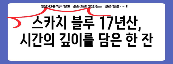 스카치 블루 17년산 | 잊지 못할 추억을 담은 한 잔의 매력