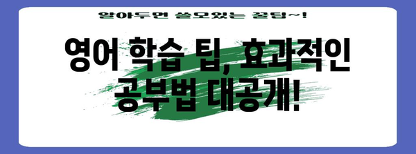 수능 영어 만점을 위한 핵심 전략| 듣기, 읽기, 문법, 어휘 완벽 마스터 | 수능 영어, 영어 공부, 고득점 전략, 영어 학습 팁