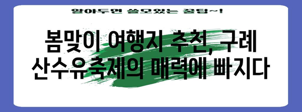 구례 산수유축제 | 꽃구경을 즐기는 봄 여행지 추천