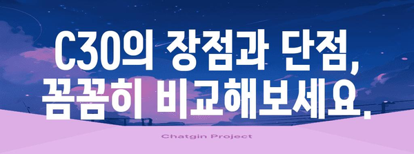 C30 추천 가이드 | 당신에게 최적의 선택