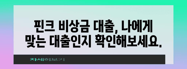 핀크 비상금 대출 확대 | 조건 변경과 신청 방법