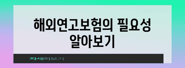 해외연고보험 비교 가이드 | 나에게 맞는 보장 찾기