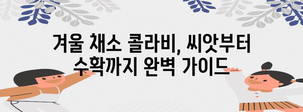 가을에 심어 겨울에 수확하는 콜라비 재배법 가이드