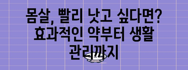 몸살 완화 가이드 | 효과적인 몸살약 추천