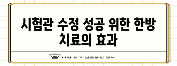 시험관 수정 성공 키 | 한방의 자연적 힘