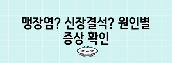 오른쪽 아랫배 통증 | 가능한 원인과 통증 완화 9가지 방법