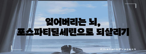 기억력 강화의 비결, 포스파티딜세린 파헤치기