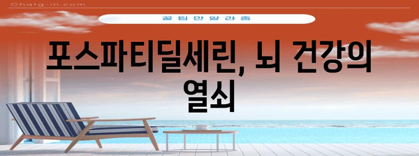 기억력 강화의 비결, 포스파티딜세린 파헤치기