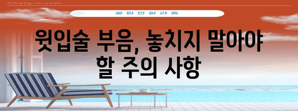 윗입술 부음 | 원인, 주의 사항, 대처법