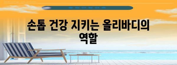 제목 | 손톱 건강의 비밀 | 세로줄과 관리법, 올리바디의 놀라운 역할