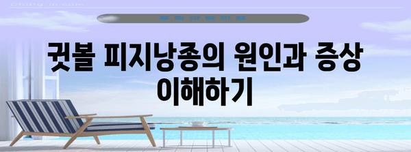 귓볼 피지낭종 자연 치유법 | 5가지 원칙으로 간단 관리