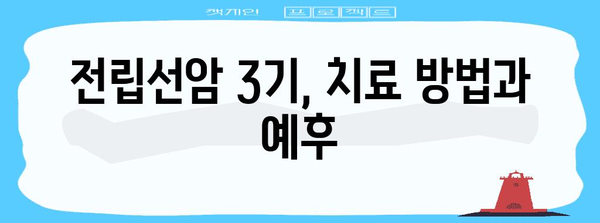 조기 대처는 건강의 열쇠 | 전립선암 3기 증상 파악하기