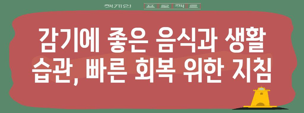 감기 치료를 위한 과학적 해결책 | 증상 완화에 도움