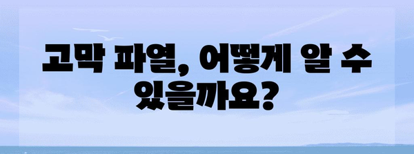 고막 파열 응급 처치 | 증상, 대처법, 병원 치료